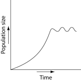 Which of the following graphs illustrates the population growth curve of single bacterium growing in a flask of ideal medium at optimum temperature over a 24-hour period? A)    B)    C)    D)    E)    