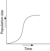 Which of the following graphs illustrates the population growth curve of single bacterium growing in a flask of ideal medium at optimum temperature over a 24-hour period? A)    B)    C)    D)    E)    