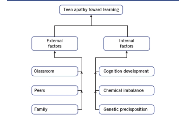 Examine this diagram:   This diagram helps us to: A)  Narrow our research question, as this topic is much too broad. B)  Consider a biological perspective only. C)  Consider a multidisciplinary perspective. D)  Raise questions about the problem that may not have been previously apparent by considering both internal and external factors.