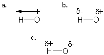 Which structure BEST describes the polarity of an H-O bond?   A)  a B)  b C)  c