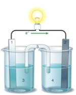 Using the accompanying drawing of an electrochemical cell,identify the components labeled 1,2,and 5,respectively.   A)  salt bridge,anode,cathode B)  salt bridge,cathode,anode C)  cathode,anode,salt bridge D)  anode,cathode,salt bridge