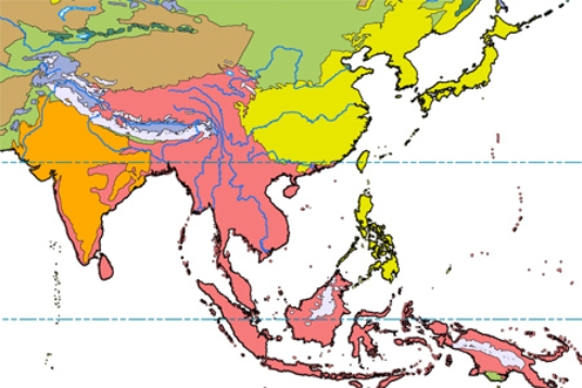 In the map below, pink represents   A) subtropical scrub and woodland. B) desert. C) rain forest.  D) grassland.