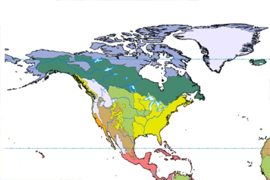 In the map below, dark blue-green, such as across most of Alaska and interior Canada, represents   A) temperate forest. B) tundra. C) boreal forest. D) grassland.