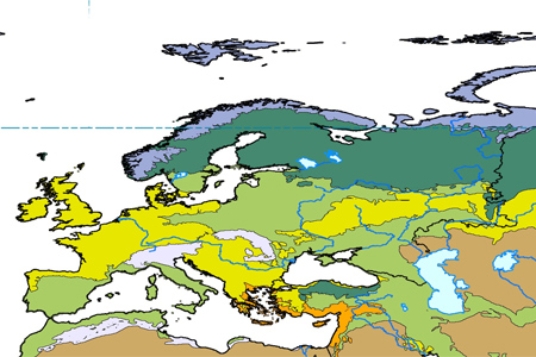 Which of the following is true about biomes in general?   A) Because evolution occurs over millions of years, the boundaries between biomes can be considered to be static over our lifetimes. B) Biome boundaries are abrupt, with very distinct differences in appearance from one side of the line to another. C) Biogeographers disagree on how many biomes there are, and which types of landscapes should be considered part of the same biome. D) Biomes only exist over land areas.