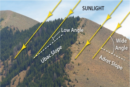 In the diagram below,   A) the snow line will be higher on the right slope than the left slope. B) the tree line will be higher on the right slope than the left slope. C) the right slope will have more soil moisture than the left slope. D) All of these.
