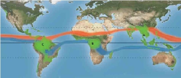 Almost two-thirds of the world's temperate rain forests are found in which area on the map below?   A) A B) B C) C D) D
