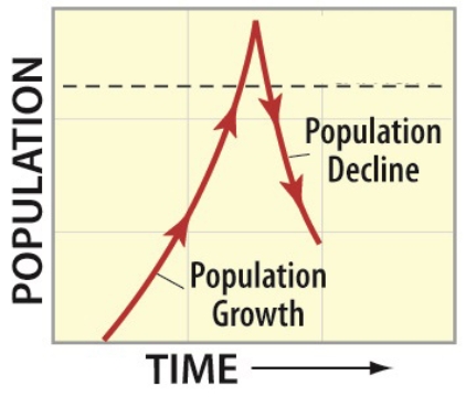 A likely scenario for causing the population trend shown in the diagram below is   A) the carrying capacity changed. B) favorable environmental conditions caused a temporary population explosion above the carrying capacity. C) a keystone predator was removed from the ecosystem at the point that the population began to decline. D) primary succession began at the time when the population reached its peak.