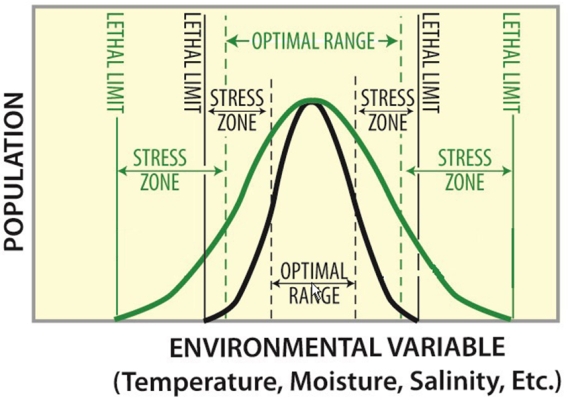 In the diagram below the  steno  species is represented by the   A) green line. B) black line.