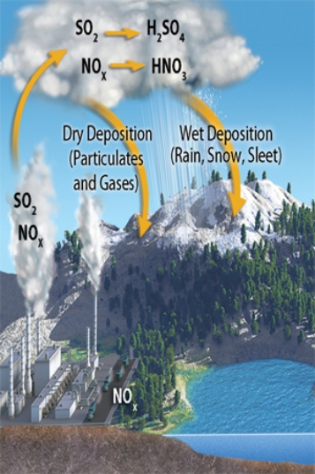 The diagram below reminds us that NO<sub>x</sub> reacts with water to produce nitric acid (HNO<sub>3</sub>) , an important component of   A) global warming. B) El Niño. C) eutrophication. D) acid rain.