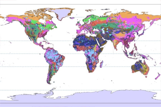 In which colored area in the world map below has slash and burn agriculture been most prominent in leaving relatively infertile soils beneath the forest exposed?   A) dark green B) light blue C) pink D) purple