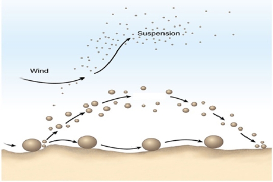 The wind erosion processes shown at A and B in the diagram below are   A) suspension and saltation. B) saltation and creep. C) drifting and abrasion. D) ablation and plucking.