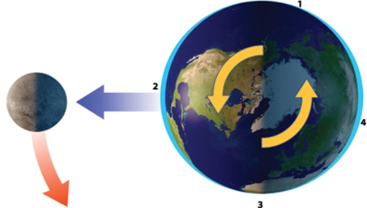 With the Moon in this position, which area will experience high tide?   A) 1 B) 2 C) 3 D) 1 and 3 E) 2 and 4