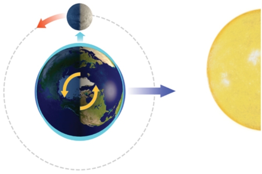 With the Sun and Moon in this position, the side of the Earth facing the Moon experiences   A) a normal high tide. B) a normal low tide. C) a spring tide. D) a neap tide.