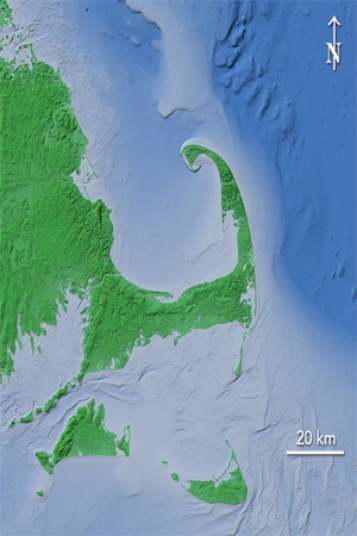 Which of the following features was not an important process contributing to the formation of Cape Cod into its present-day shape?   A) north to south longshore current B) glacial deposition C) sea level increases D) All of these are important processes for Cape Cod's formation.