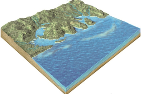 What geologic event is probably indicated by this irregular coast, with estuaries?   A) a rise in sea level B) a drop in sea level C) erosion due to large tsunamis D) the uplift of submarine canyons