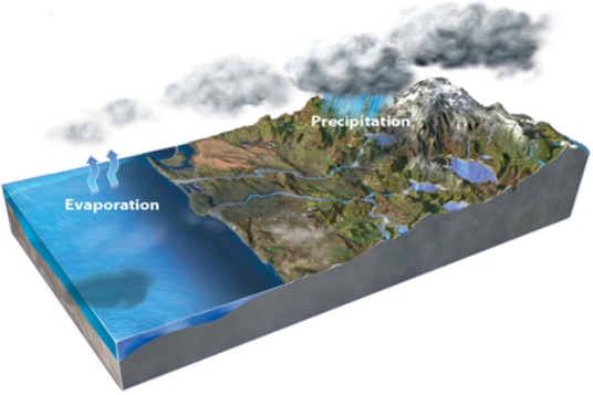 What happens to different isotopes of oxygen in this figure?   A) Evaporation concentrates lighter isotopes in the resulting water vapor. B) Precipitation forms ice that is enriched in heavier isotopes relative to seawater. C) Melting of ice preferentially releases heavier isotopes back into the ocean. D) All of these.