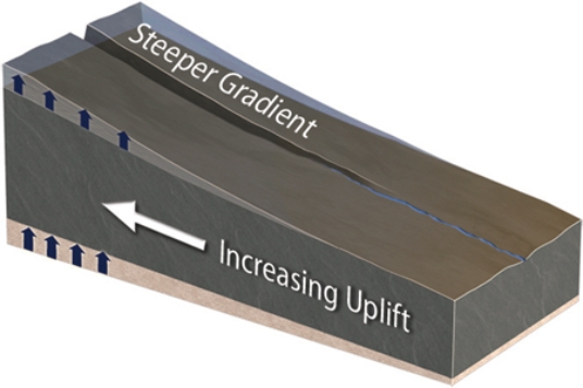 What could cause a canyon to be deeper upstream than downstream?   A) The area upstream could be uplifted more than areas downstream. B) The area upstream is higher above base level and so results in deep erosion. C) A steeper gradient allows more erosion upstream. D) All of these.