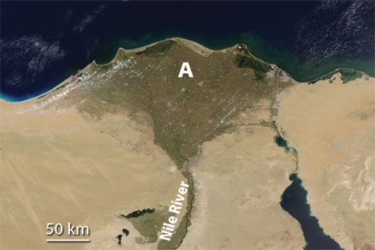 Feature A, formed where the Nile River encounters the Mediterranean Sea, is   A) a landslide. B) a series of waterfalls. C) a delta. D) All of these.