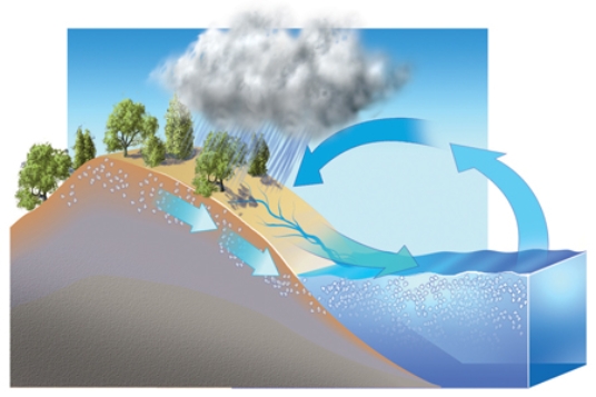 What concepts can be explained using this diagram?   A) the movement of water between the oceans and the land B) how precipitation ends up in rivers or groundwater C) how weathering causes the seas to become saltier D) All of these.