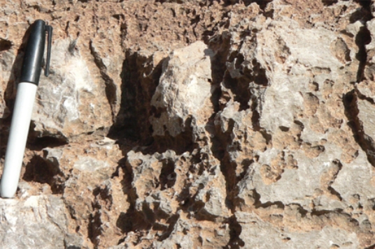 What is the main type of weathering illustrated by this weathered limestone?   A) physical weathering B) dissolution C) oxidation D) exfoliation