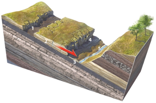 Which numbered feature on this figure is a scarp?   A) 1, a linear or curved scar marking where the slide pulled away from the hill B) 2, small fractures within the sliding block C) 3, the intact layers below the rock slide D) 4, the front of the slide, where it overruns the land surface E) 5, a valley or other open space in front of the slide
