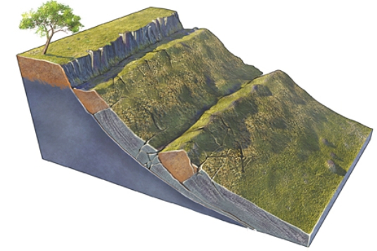 What type of slope failure is shown in this figure?   A) rotational slide B) creep C) rock avalanche D) debris flow E) rock fall