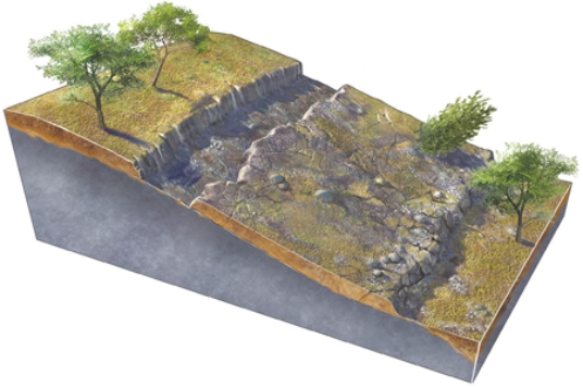 What type of slope failure is shown in this figure?   A) rotational slide B) creep C) debris slide D) debris flow E) rock fall
