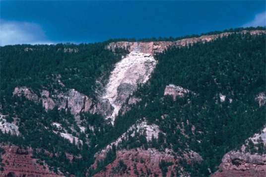Which of the following might indicate that slopes adjacent to this landslide might fail?   A) they have the same steepness as the slope that failed B) they appear to have a similar geology setting C) one part of the slope has already failed D) All of these.