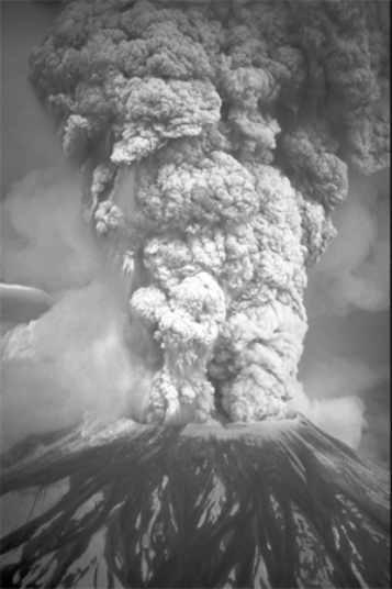 The type of volcanic eruption shown in this photograph is   A) a lava fountain. B) collapse of a volcanic dome. C) a fissure eruption. D) a pyroclastic column. E) a volcanic mudflow.