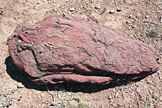 What type of basaltic feature is shown in this photograph?   A) vesicles B) volcanic bomb C) aa lava flow D) pahoehoe lava flow E) pyroclastic flow