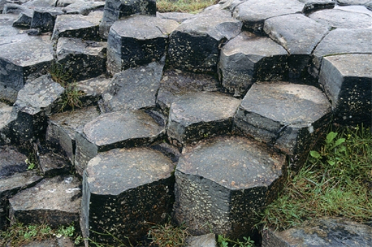How did the joints in this photograph form?   A) from uplift B) from burial C) from tectonics D) from weathering E) from cooling