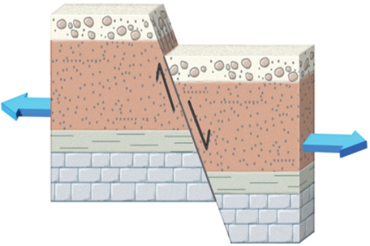 The type of fault shown in this figure is a   A) normal fault. B) reverse fault. C) strike-slip fault. D) thrust fault.