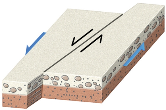 The type of fault shown in this figure is a   A) dip-slip fault. B) normal fault. C) strike-slip fault. D) reverse fault.