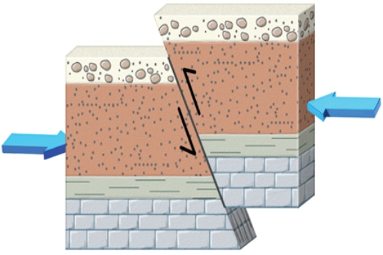 The type of fault shown in this figure is a(n)    A) normal fault. B) reverse fault. C) strike-slip fault.