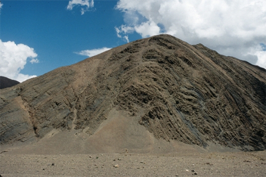 The type of structure shown in this figure is a(n)    A) thrust fault. B) anticline. C) syncline. D) monocline. E) basin.