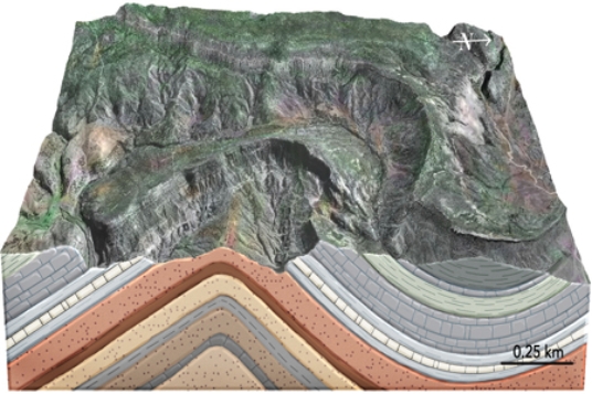 The type of structure shown in this figure is a(n)    A) thrust fault. B) anticline. C) syncline. D) monocline. E) basin.