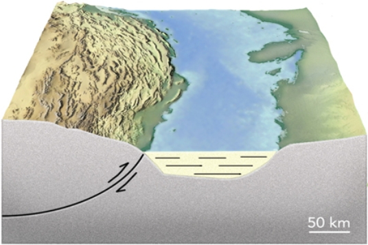 Why is there a basin associated with some thrust faults?   A) thrust faults thin the crust and cause subsidence B) thrust faults form passive margins C) thrust sheets depress the crust in front of the thrust D) thrust sheets form a continent rift