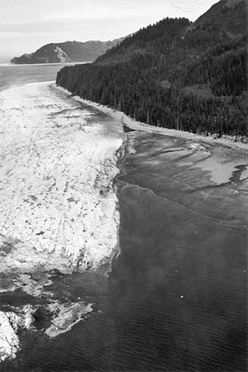 This photograph from the 1964 Alaskan earthquake shows a white area of seafloor that was uplifted during the event.What does this observation specifically suggest about how the earthquake might cause damage? A) Areas on land could be affected by liquefaction. B) Areas on land could experience landslides. C) This earthquake could have caused a tsunami because it offset the seafloor. D) The earthquake could have caused fires because it released sulfur-dioxide gas.