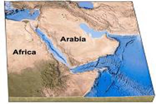 How did the Red Sea, shown between Arabia and Africa in this figure, form?   A) subduction of Arabia beneath Africa B) subduction of Africa beneath Arabia C) a continental collision D) continental rifting followed by seafloor spreading E) transform faulting followed by a continental collision