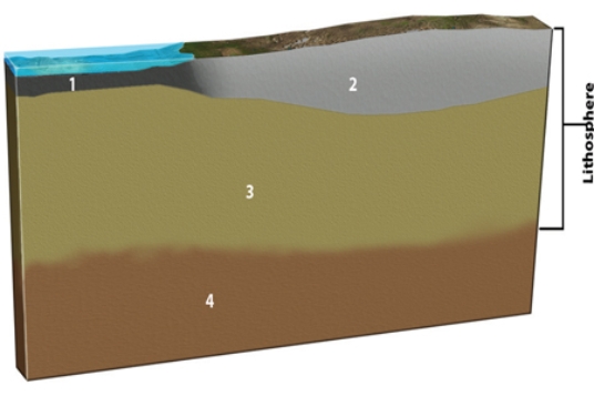 Which of the layers in the diagram below are solid or mostly solid?   A) 1 and 2 B) 2 and 3 C) 1, 2, and 3 D) All of them.