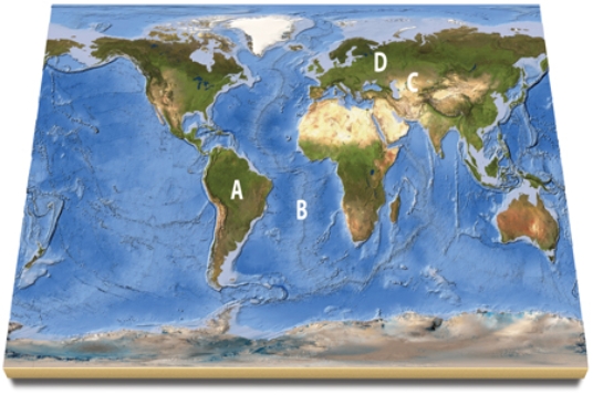 Which area(s) on this world map are likely to be near a plate boundary?   A) A and B B) A and D C) B and D D) C and D E) A, B, and C