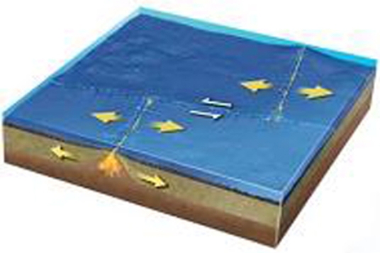 What type of plate boundary is depicted by the smaller arrows in the center of this figure?   A) divergent boundary B) convergent boundary C) transform boundary D) hot spot E) None of these.