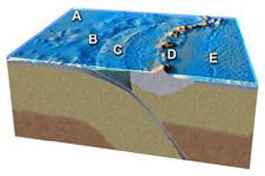 Which feature on this figure is formed by melting of mantle above the slab?   A) A B) B C) C D) D E) E