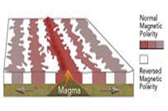 This diagram shows magnetic stripes on either side of the mid-ocean ridge.How many times did the magnetic field change polarity to form all of the stripes shown here?   A) twice B) three times C) five times D) eleven times