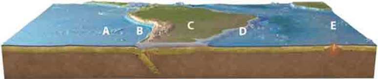 Where is subduction occurring on this figure of South America?   A) A B) B C) C D) D E) E