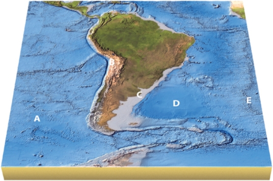 On this map of South America, which features are NOT on a plate boundary?   A) A and B B) B and C C) C and D D) D and E E) All of the features are on a plate boundary.