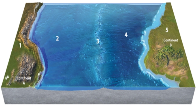 Which location on this figure from the Investigation is most likely to have volcanoes formed above a subduction zone?   A) 1 B) 2 C) 3 D) 4 E) 5