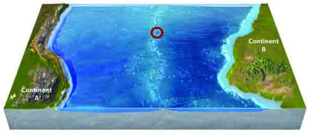 Use your knowledge of plate boundaries to answer whether an earthquake is likely or unlikely to occur at the location of the red circle.   A) likely B) unlikely