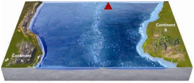 Use your knowledge of plate boundaries to answer whether a volcano is likely or unlikely to form at the location of the red triangle.   A) likely B) unlikely