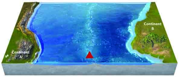 Use your knowledge of plate boundaries to answer whether a volcano is likely or unlikely to form at the location of the red triangle.   A) likely B) unlikely